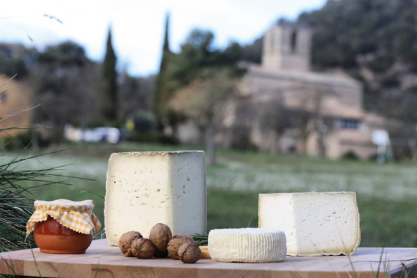 Private Cheese & Cava Tasting in Catalonia | Ragnia